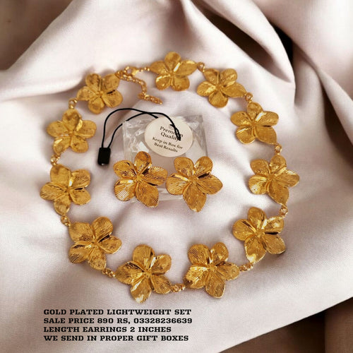 Gold plated gorgeous Necklace set