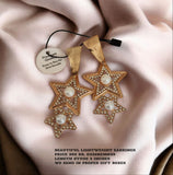 Beautiful lightweight Earrings