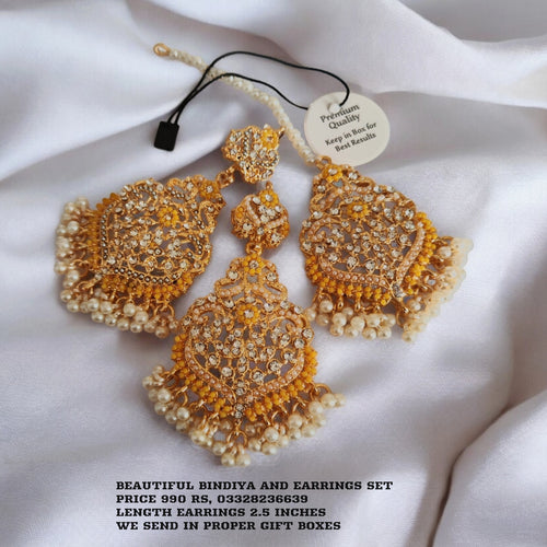 Premium Quality bindiya and earrings