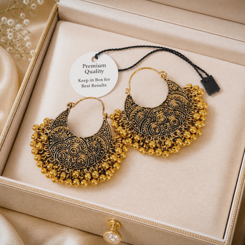 Beautiful Oxidized Earrings